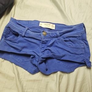 Gilly hicks bright blue shorts